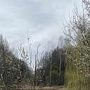 ���� �����, ������ - ��������� 16 ������ 2026 � ������ ������ ��������