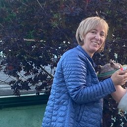 ������, ������, 55 ���