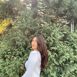 ���������, ��������, 29 ���