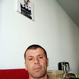 , 43, 