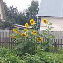 ���� �������, �������, 59 ��� - ��������� 7 ��� 2025 � ������ ���� ����������