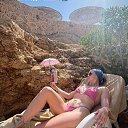 ���� ������, ������ - ��������� 17 ��� 2026 � ������ ���� ����������