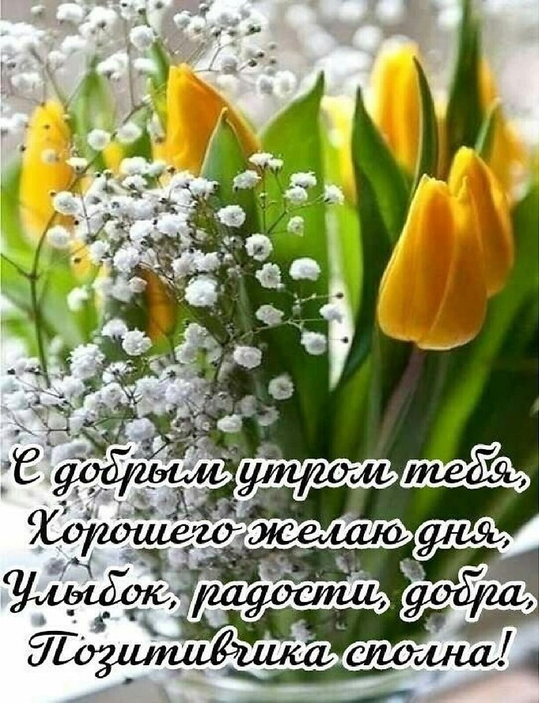 ����������� � ���������, �������� �� ������ ����. - 8 ��� 2026 � 00:06