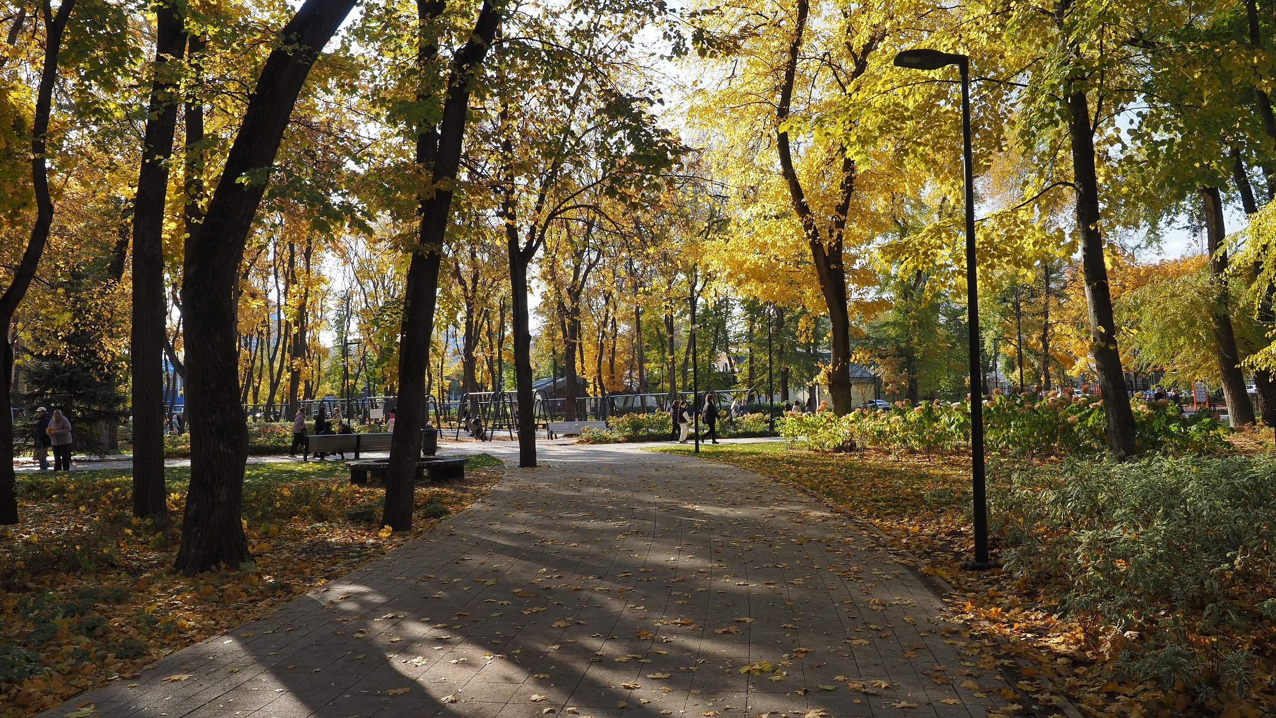    ,   .     ,   ... - 5