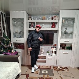 ���� ���������, 37 ���, �����������