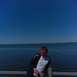 ������, ����������-���������, 50 ���