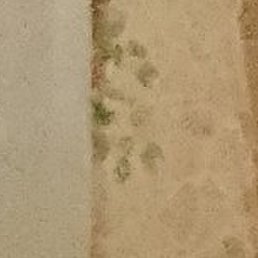 �������, ������, 46 ���