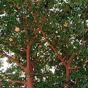 ���� �������, �������, 59 ��� - ��������� 11 ������� 2023 � ������ ���� ����������