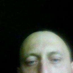 �������, �����-���������, 37 ���