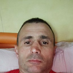 , 44, 