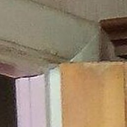 ������, ���������, 49 ���