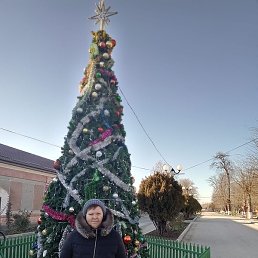 ����, ���������, 56 ���