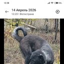 ���� ������ �� ���� ����, ������-��-����, 58 ��� - ��������� 17 ������ 2026 � ������ ���� ����������