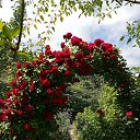 ���� �������=, ������, 64 ���� - ��������� 11 ������� 2024 � ������ ���� ������ ��������� �� �������