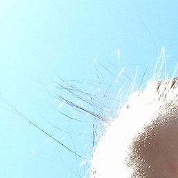 ��������, �����������, 23 ����