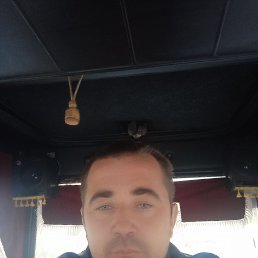 , 38, 