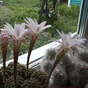 ���� ������, ������� - ��������� 23 ������ 2025 � ������ ���� ���������.�