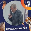 ���� �������, �������, 49 ��� - ��������� 27 ����� 2026 � ������ ���� ����������