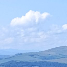 �������, ����, 49 ���