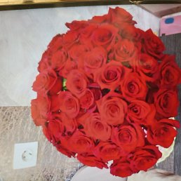 �����, �����, 55 ���