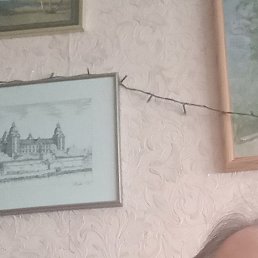 ����, ������, 70 ���