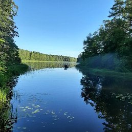 �������, �������, 69 ���