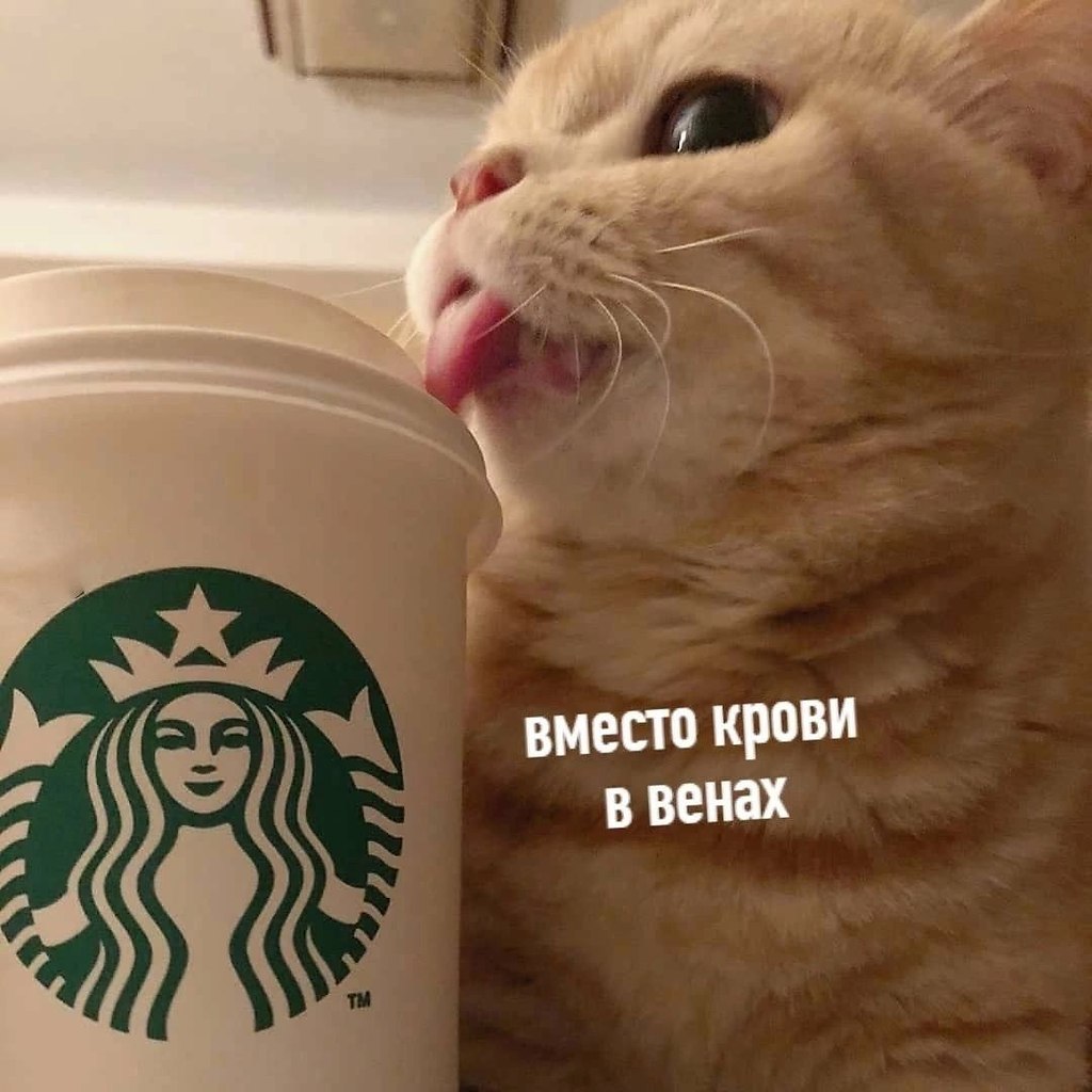      - 3