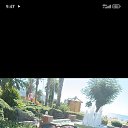 ���� �������, ����, 52 ���� - ��������� 18 ������� 2024