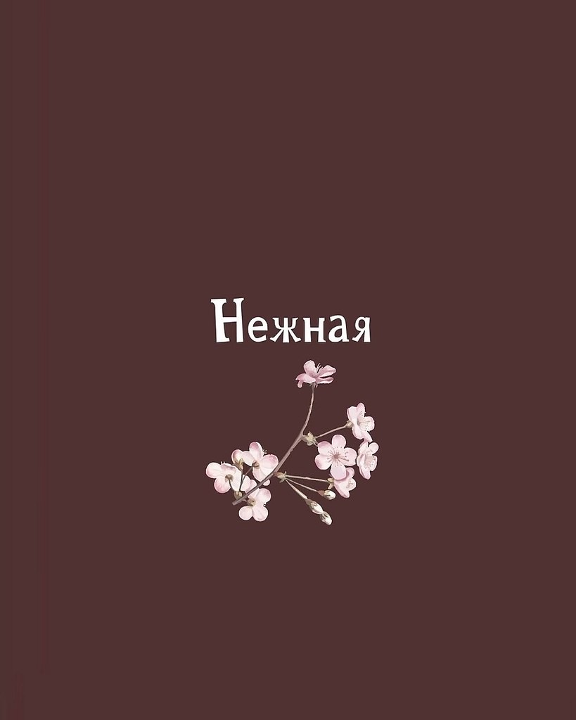 .�������. - 18 ������ 2025 � 20:27 - 8