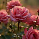 ���� ������, ���� - ��������� 30 ������ 2025 � ������ ���� ����������