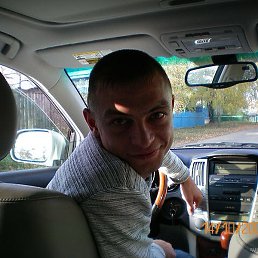 ������, ������, 41 ���