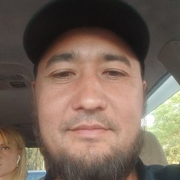 �����, ������, 36 ���