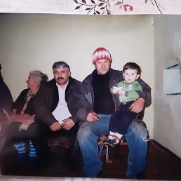 , 56, 
