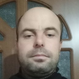 �����, �������, 37 ���