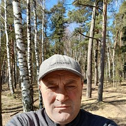 ����, ������, 47 ���