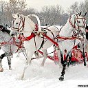 ���� ������, ������, 73 ���� - ��������� 3 ����� 2025 � ������ ���� ����������