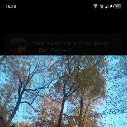 ���� ���, ������� - ��������� 21 ����� 2026