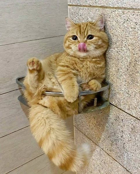 �� �������, ��� ������ ������� ������� �� ������� � ������? - 2
