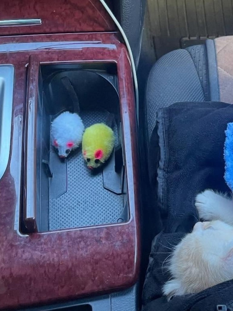 ����� � ������ ��������� ���� � ����� � ������� ��� - 3