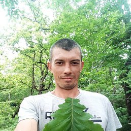 , 33, 