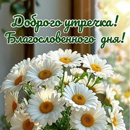 �����, �����������, 52 ����