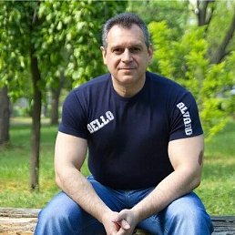 , 51 , 