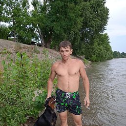 ���� �������, ���������, 39 ��� - ��������� 17 ������� 2024