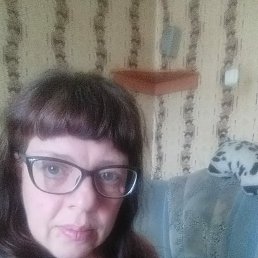 , 37, 
