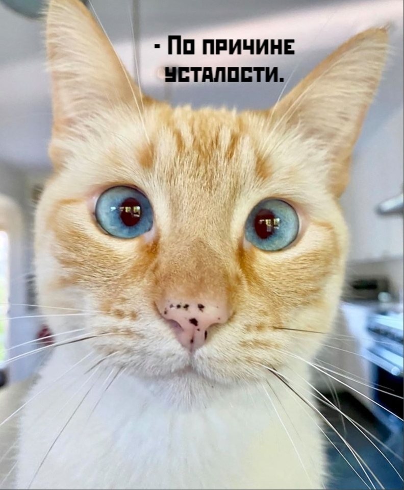       - 12  2025  12:28 - 2