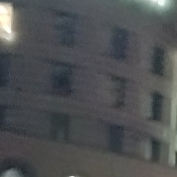 ����, ������