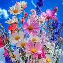 ���� Gina, ���, 20 ��� - ��������� 8 ������� 2025 � ������ ������ ��������