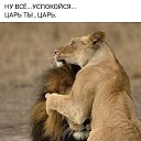 ���� �����, ������, 60 ��� - ��������� 23 ���� 2026
