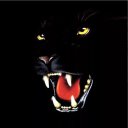 ���� ����, ������, 61 ��� - ��������� 6 ������ 2023 � ������ ���� ����������