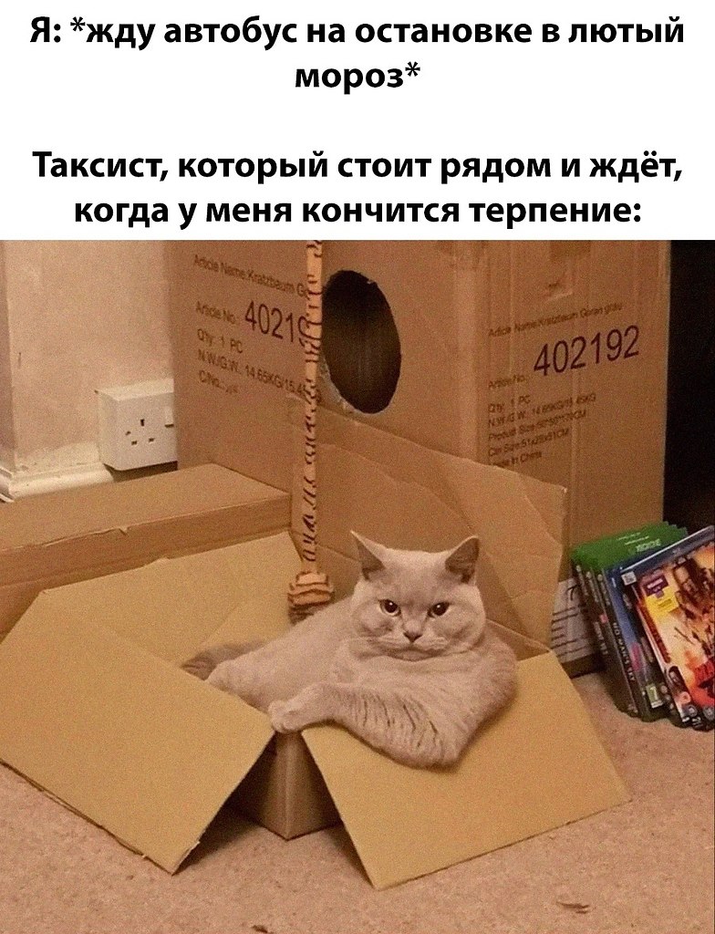 ��� �������� �������� - 8 ������� 2025 � 12:19